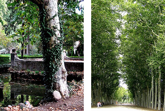 Parc_Dev